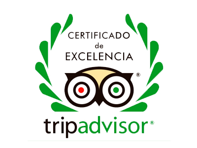 tripadvisor